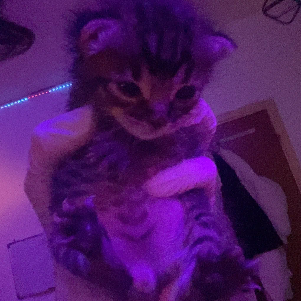 My son
